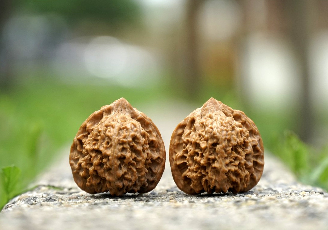 Wenwan Walnuts hand massage ball Man Tian Xing Ma Starry sky walnut