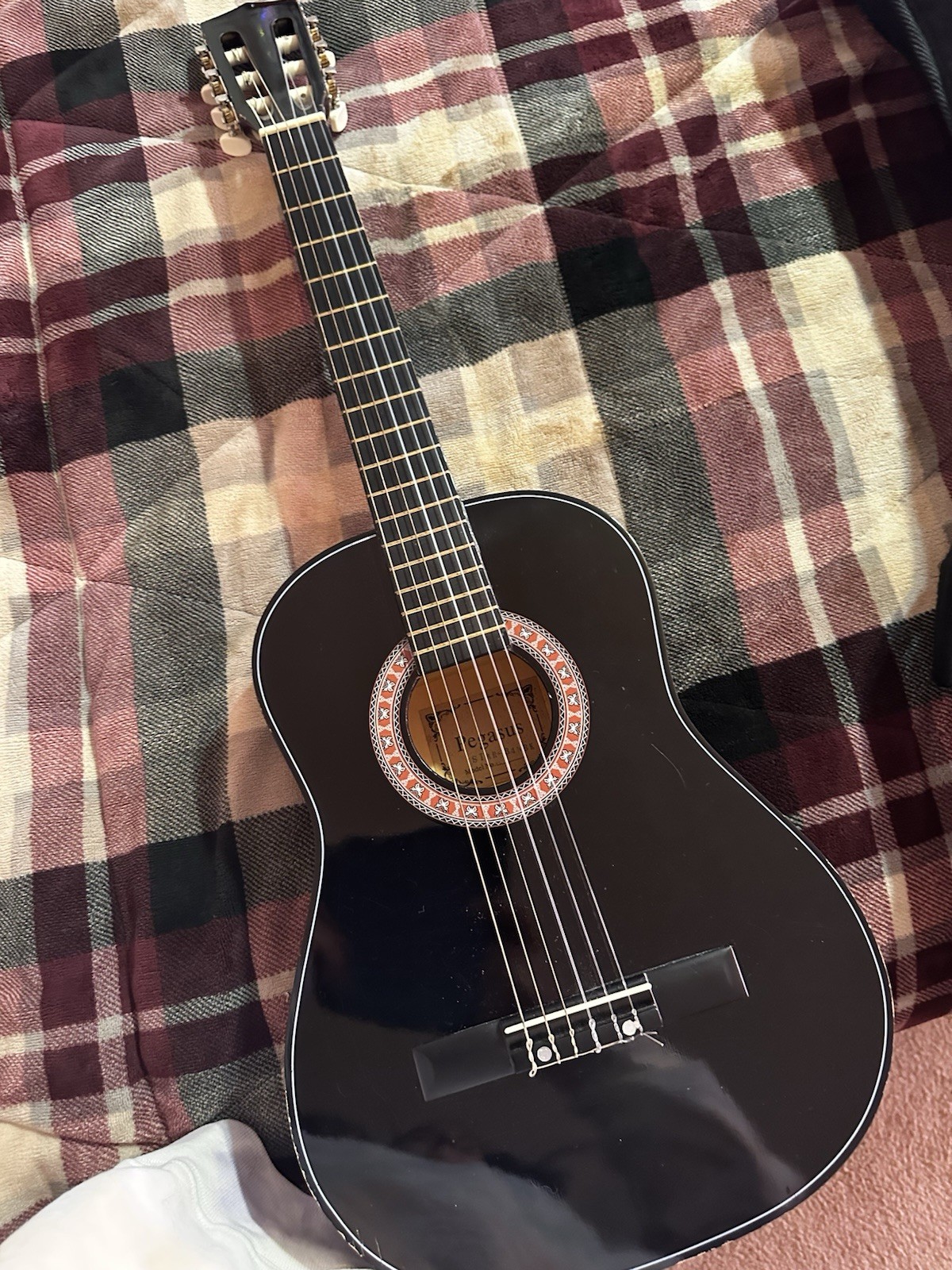 Pegasus Classical Acoustic Guitar Black 6-String w/ Gig Bag Nylon Strings