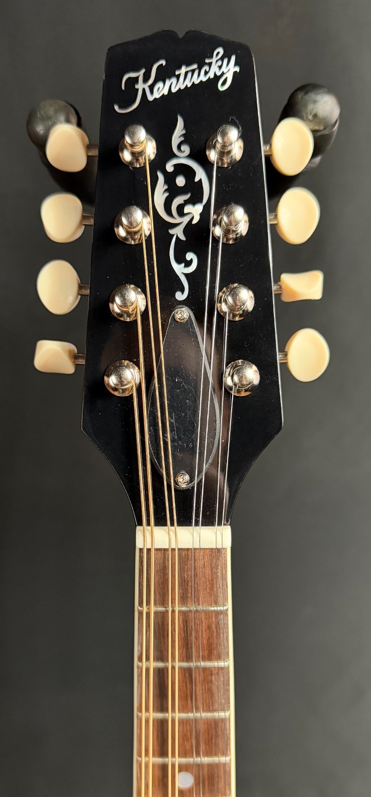 Kentucky KM-256 Artist Deluxe A-Style Mandolin Transparent Brown w/ Gig Bag