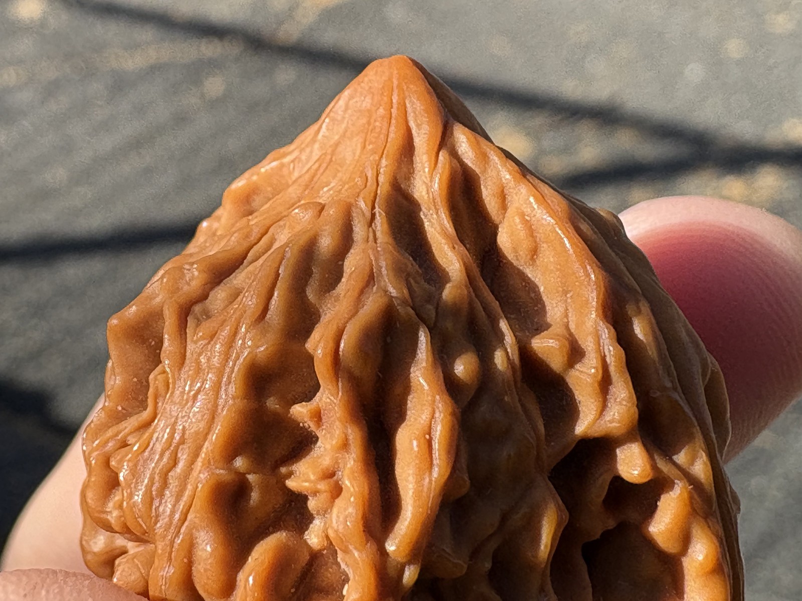 A pair of Wenwan Walnuts hand massage ball Wu Ming Chicken heart