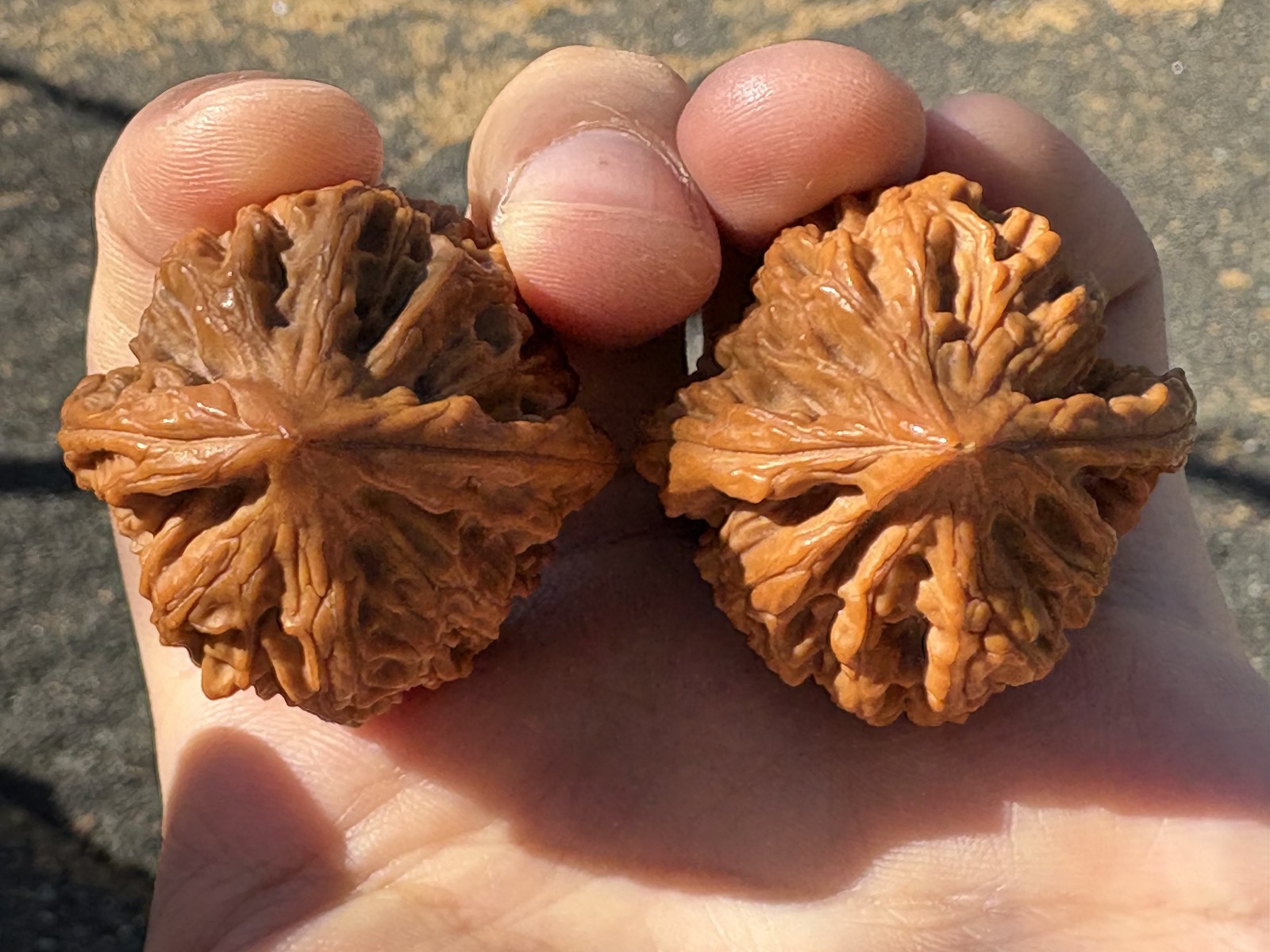 A pair of Wenwan Walnuts hand massage ball Wu Ming Chicken heart