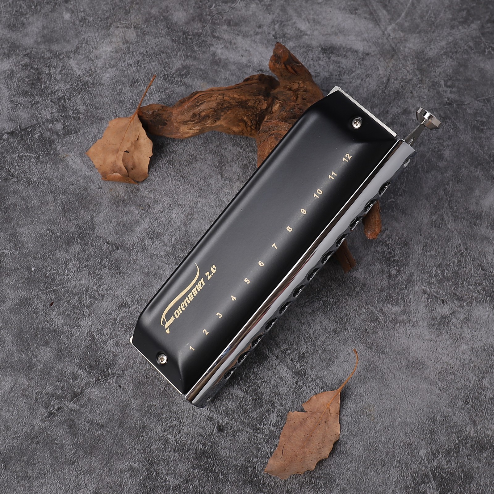 EASTTOP Forerunner Chromatic Harmonica 12Hole Mouth Organ New Style Harmonica US