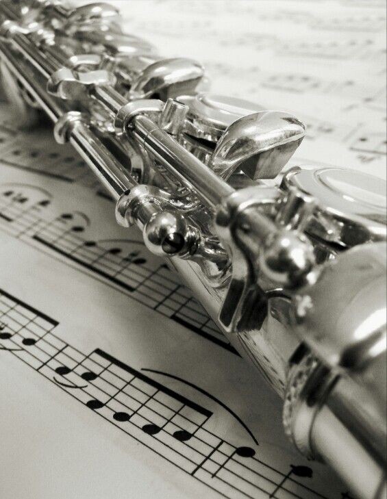 FLUTE-NEW STUDENT/ INTERMEDIATE/PRO CONCERT SILVER BAND FLUTES-WITH YAMAHA PADS