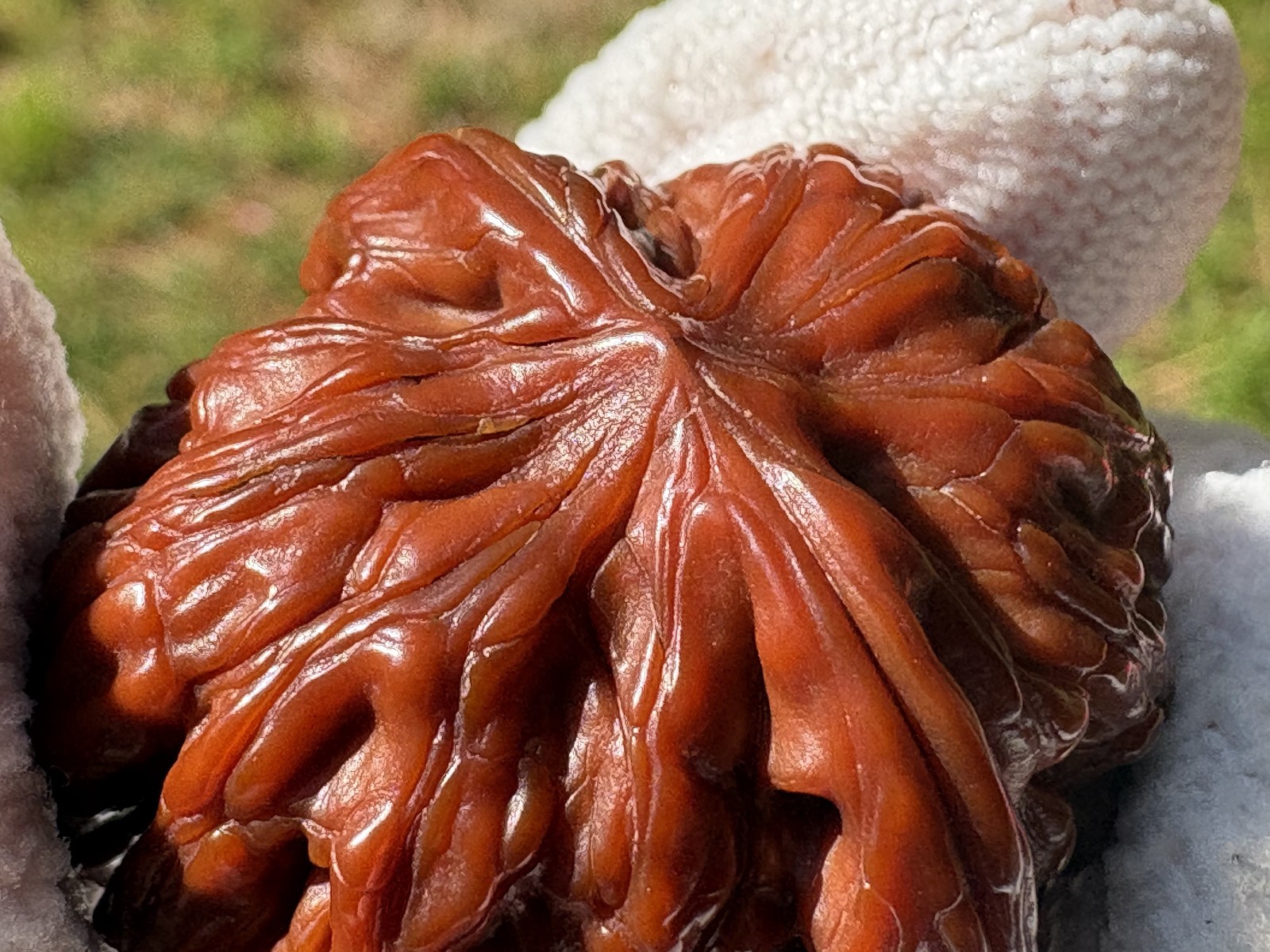Mo Pan Millstone Lion’s head Wenwan Walnuts massage ball