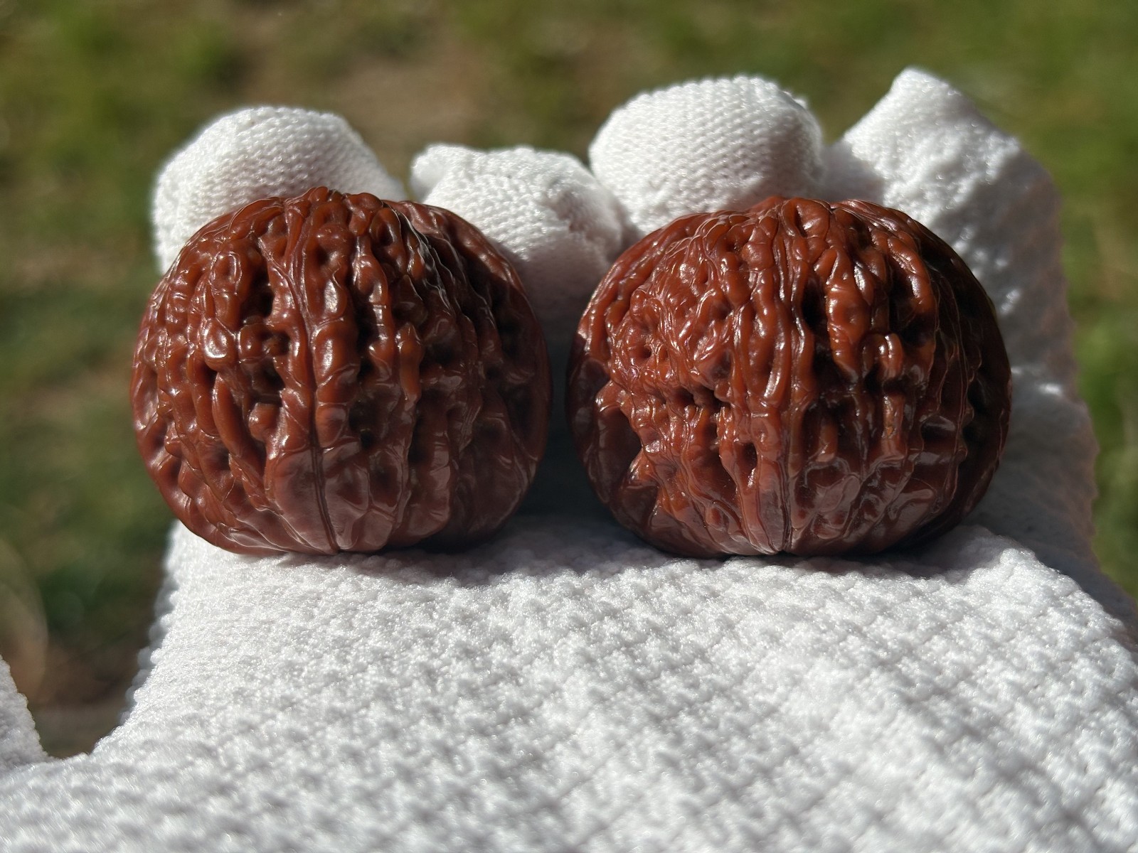 Mo Pan Millstone Lion’s head Wenwan Walnuts massage ball